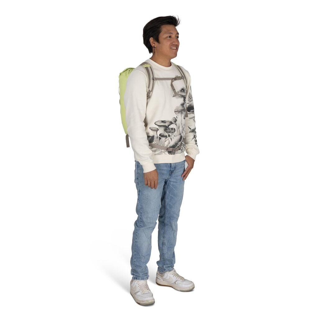 Daylite™ Cinch