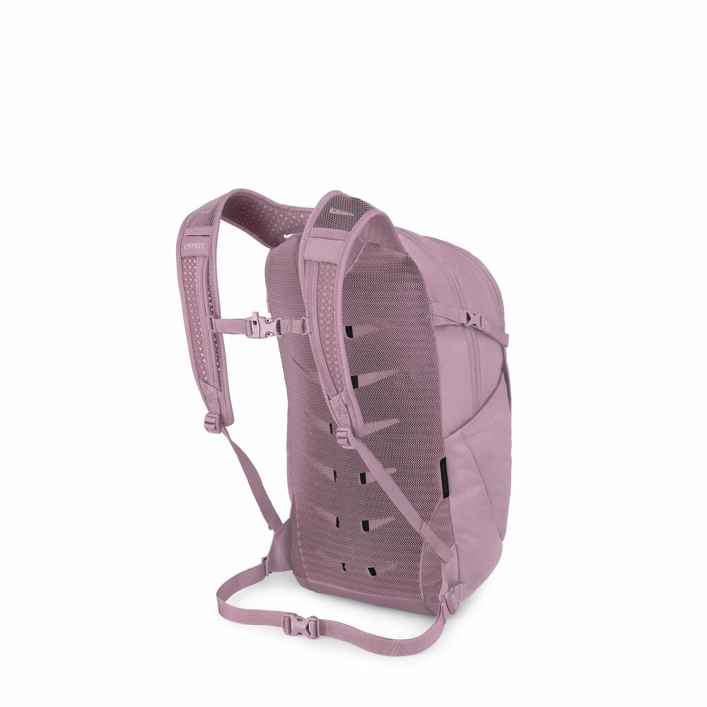 Daylite™ Plus