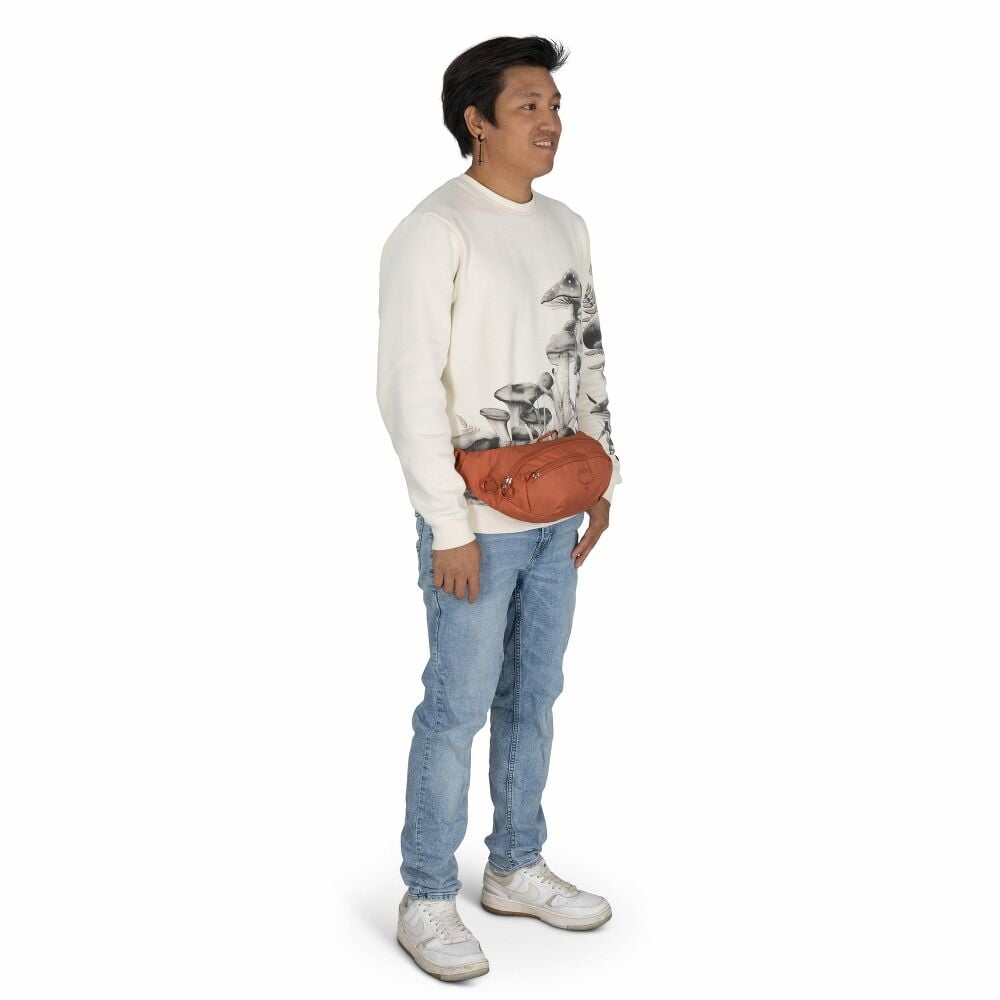 Daylite™ Waist