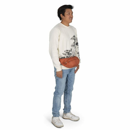Daylite™ Waist