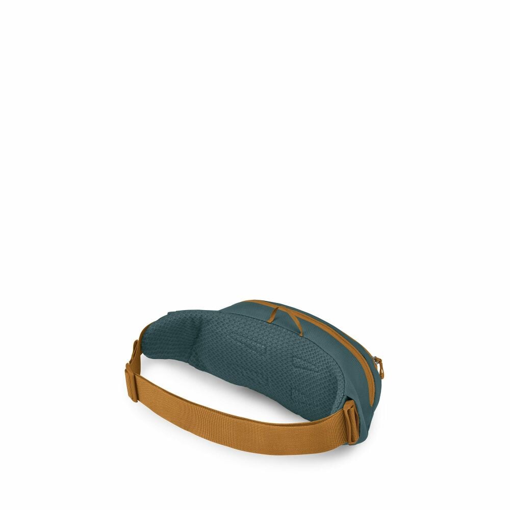 Daylite™ Waist