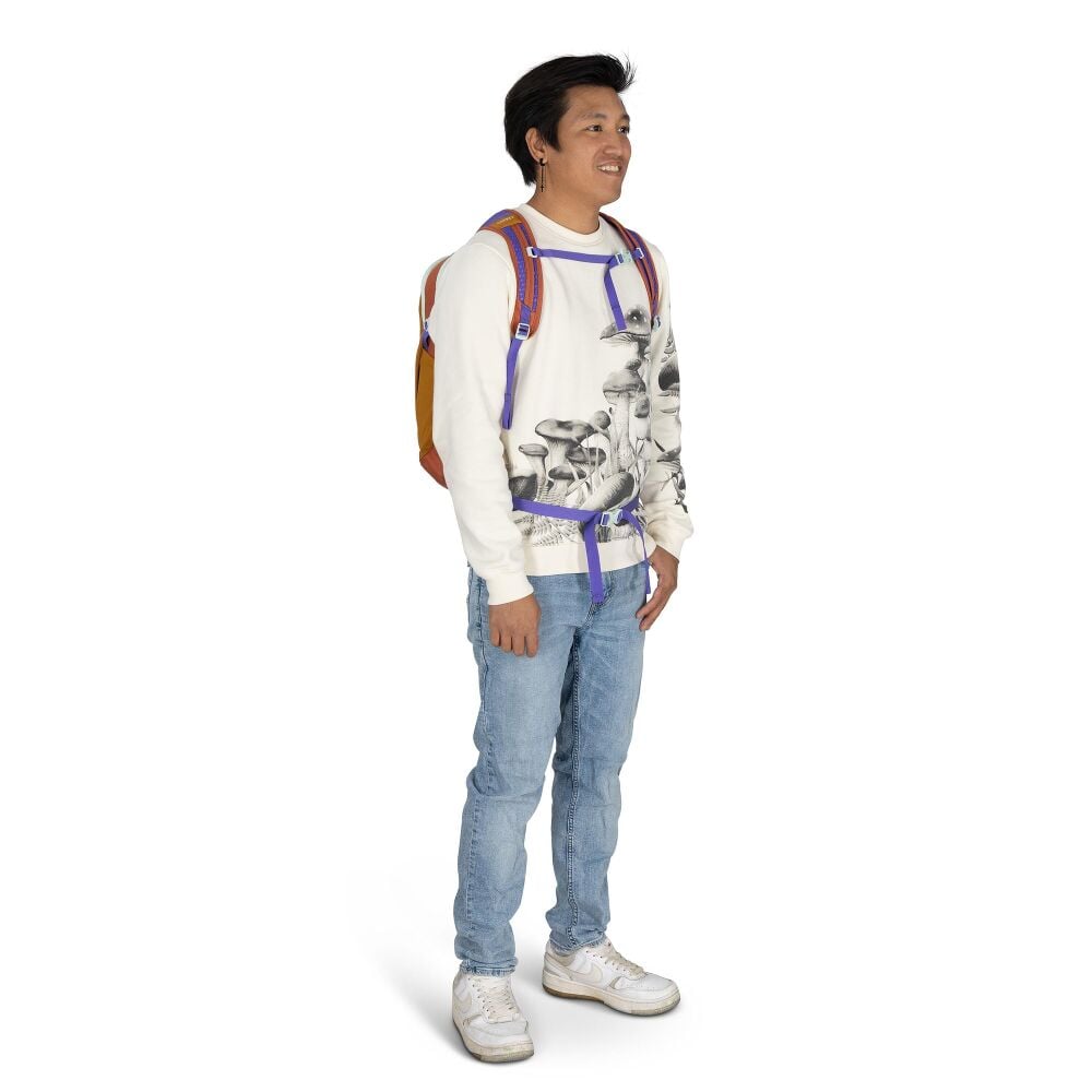 Daylite™