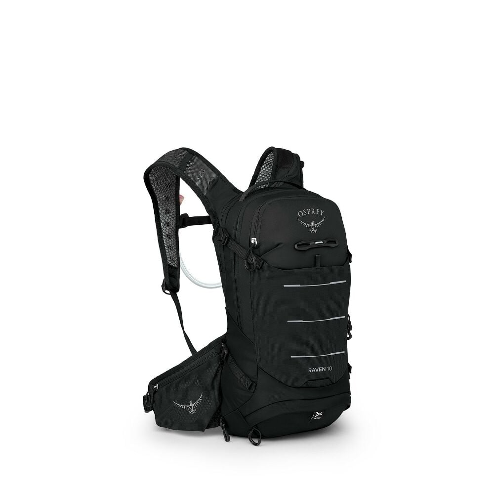 Raven 10