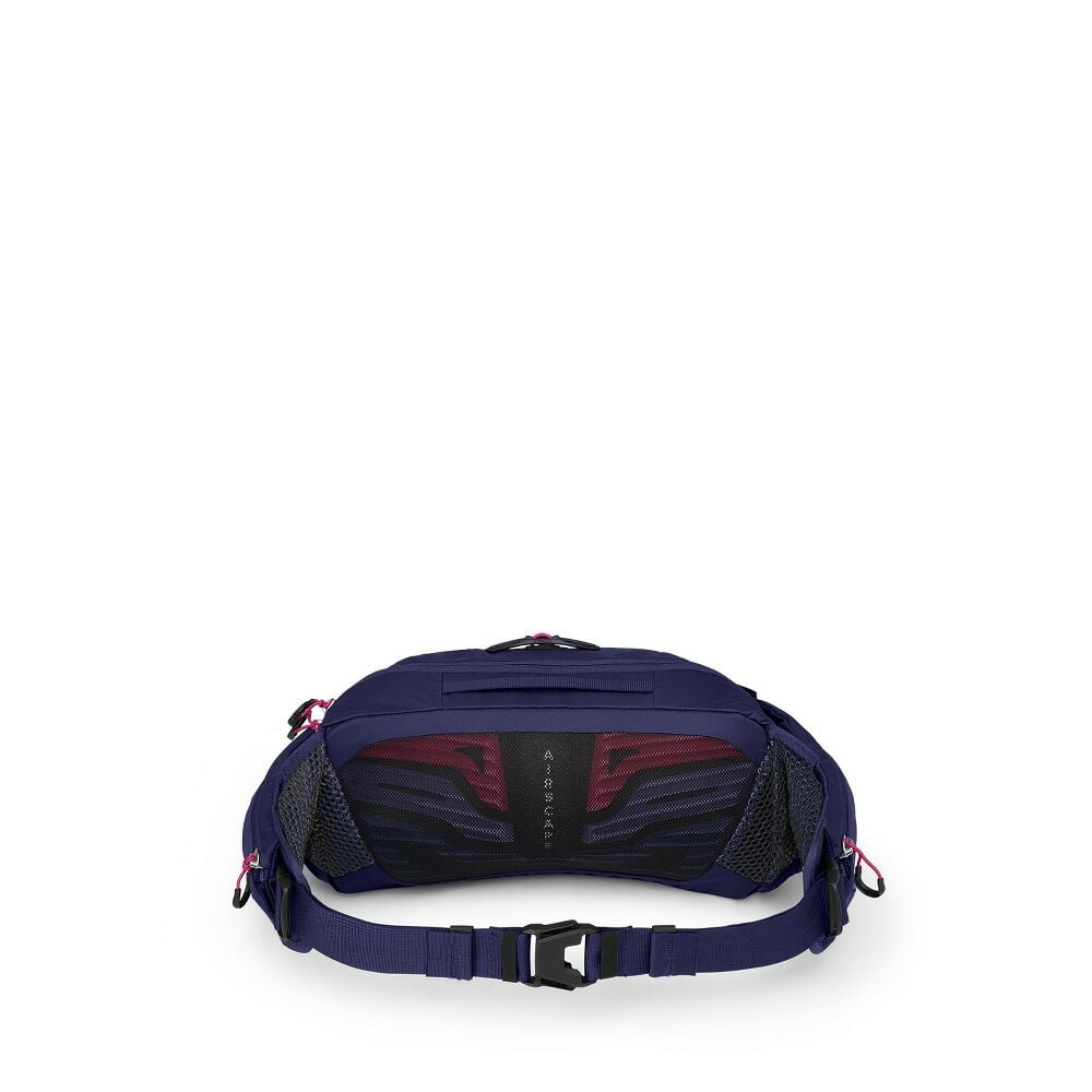 Raven 4