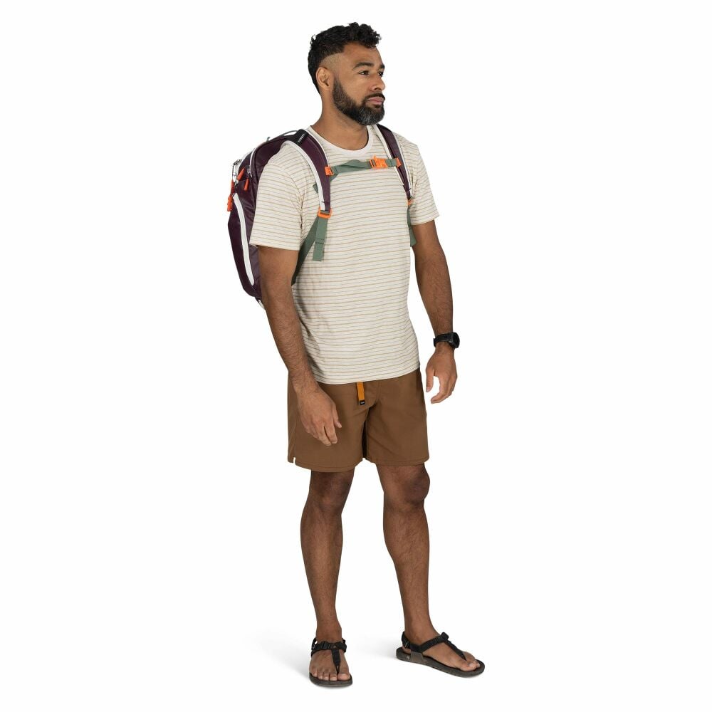 Transporter™ Travel Pack 36