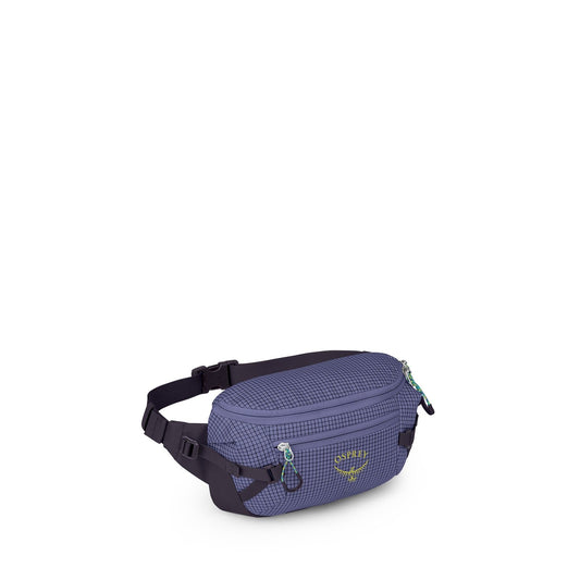 Transporter™ Waist Pack