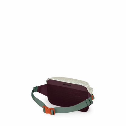 Transporter™ Waist Pack
